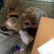Caitlyn and Mallory displaying team work.